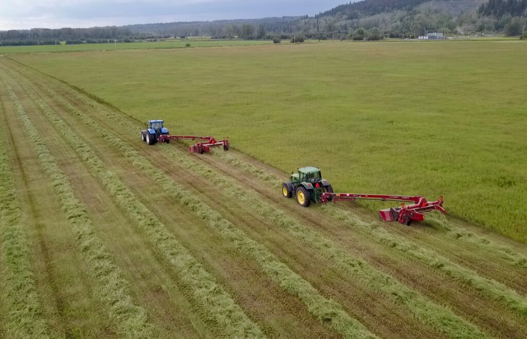 Mowing Hay